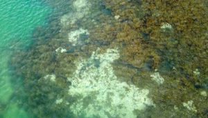 628354 2003873 updates