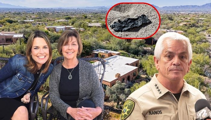 Digital forensics could break Nancy Guthrie case as new video gives Sheriff hope: Here’s why