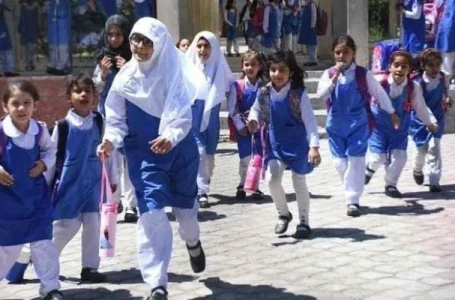 Punjab fuel allowance cut